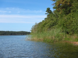 Cliff Pond IMG 4064